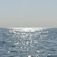 Rivolina