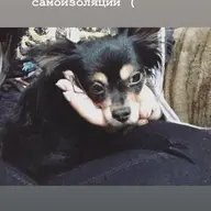 Valeriya2000