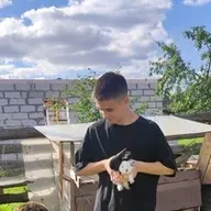kvirfat
