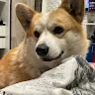 Boomerkon