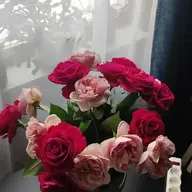 Ольчик20