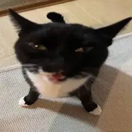 x7n