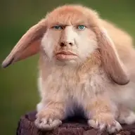 Asamir