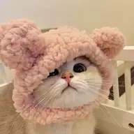microl