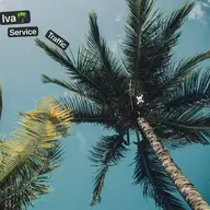 Ivaiva