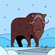 Сергей990800