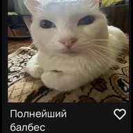 zidlyu