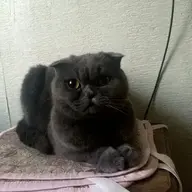 Игорь01
