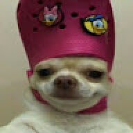 rzzch