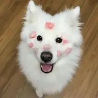ваобщем