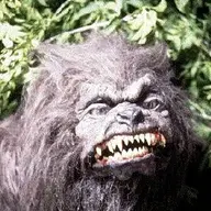 shiza1986