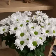 Almara