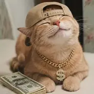 mokrez