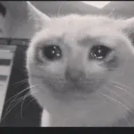 ilyasha
