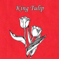 KingTulip