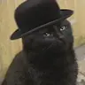 DoctorJ