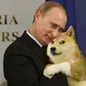 AndrewK