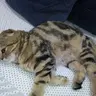 Владимир060