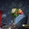 ompops