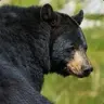 udalovpavelpavlovich