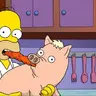 Spider-pig