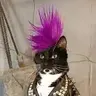 Punk