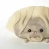 zikmatutero