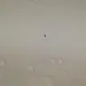 ИвановИ