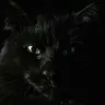Ali-Prodigy