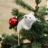 turov_69