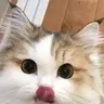 tojonnywws
