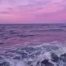 Cardcc86