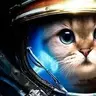 SpaceKoT