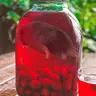 KrotKompot