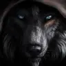 wolf.sar