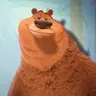 Boog