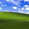 alaMutX