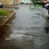 Parovain