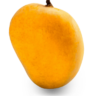 dnbbysc