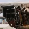 Armed_Racoon