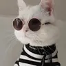 Шухер