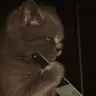Кирюшa