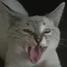 tohazavr