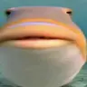 Oxrana