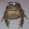 dednaobed