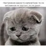 vladpruha