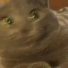 narkomanhs
