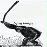 ss8
