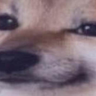 AlexGus