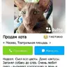 VladIsLove72